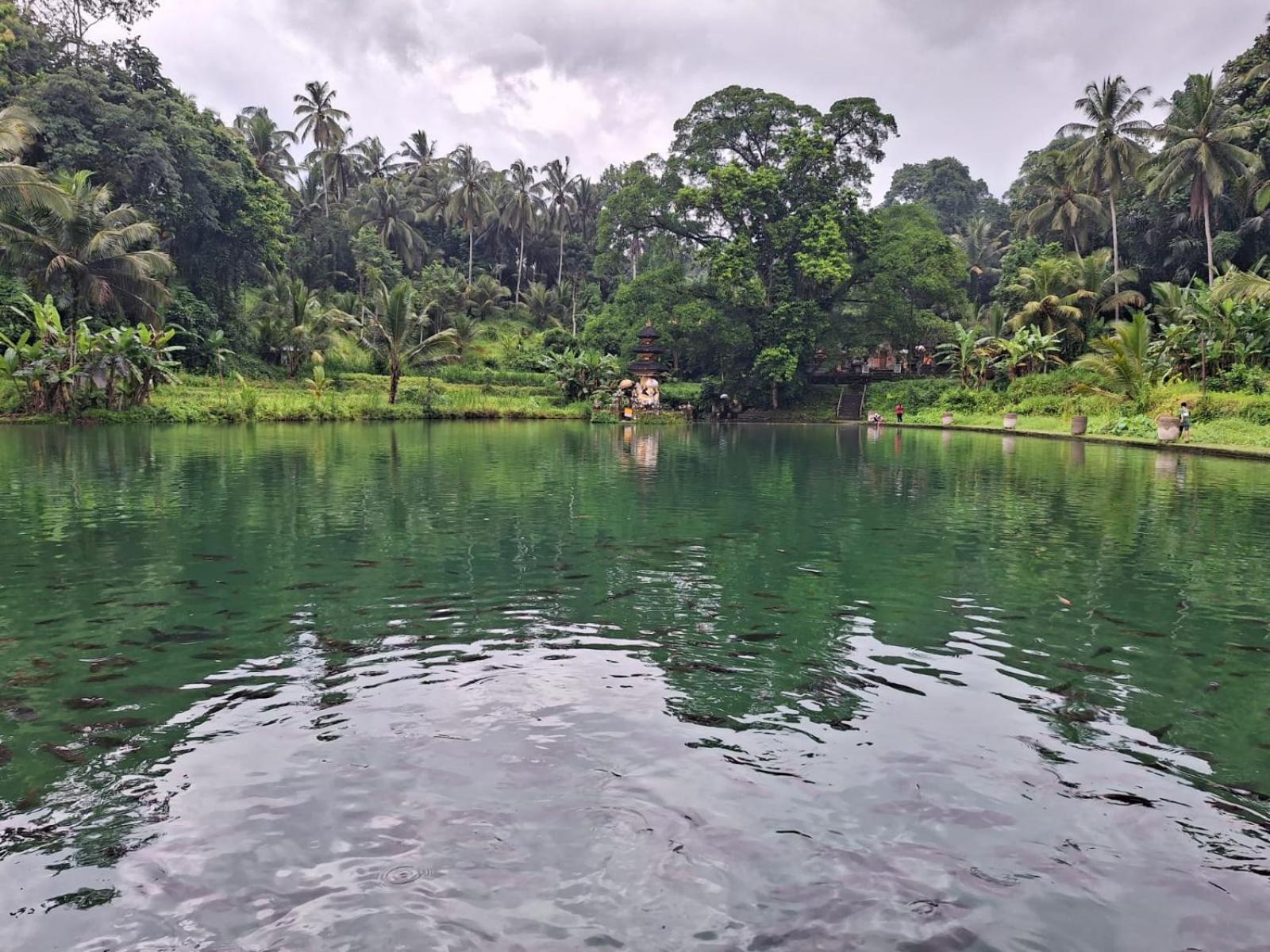 Yogi Homestay Canggu  Bagian luar foto