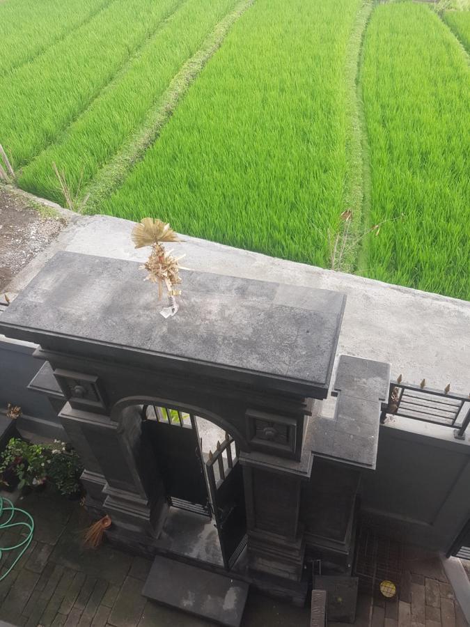 Yogi Homestay Canggu  Bagian luar foto